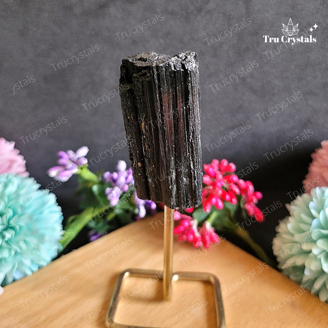 Black Tourmaline Rough Display Stand- (Certified)